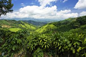Liberia Costa Rica