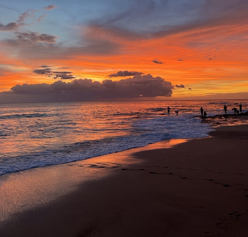Las Baulas National Marine Park