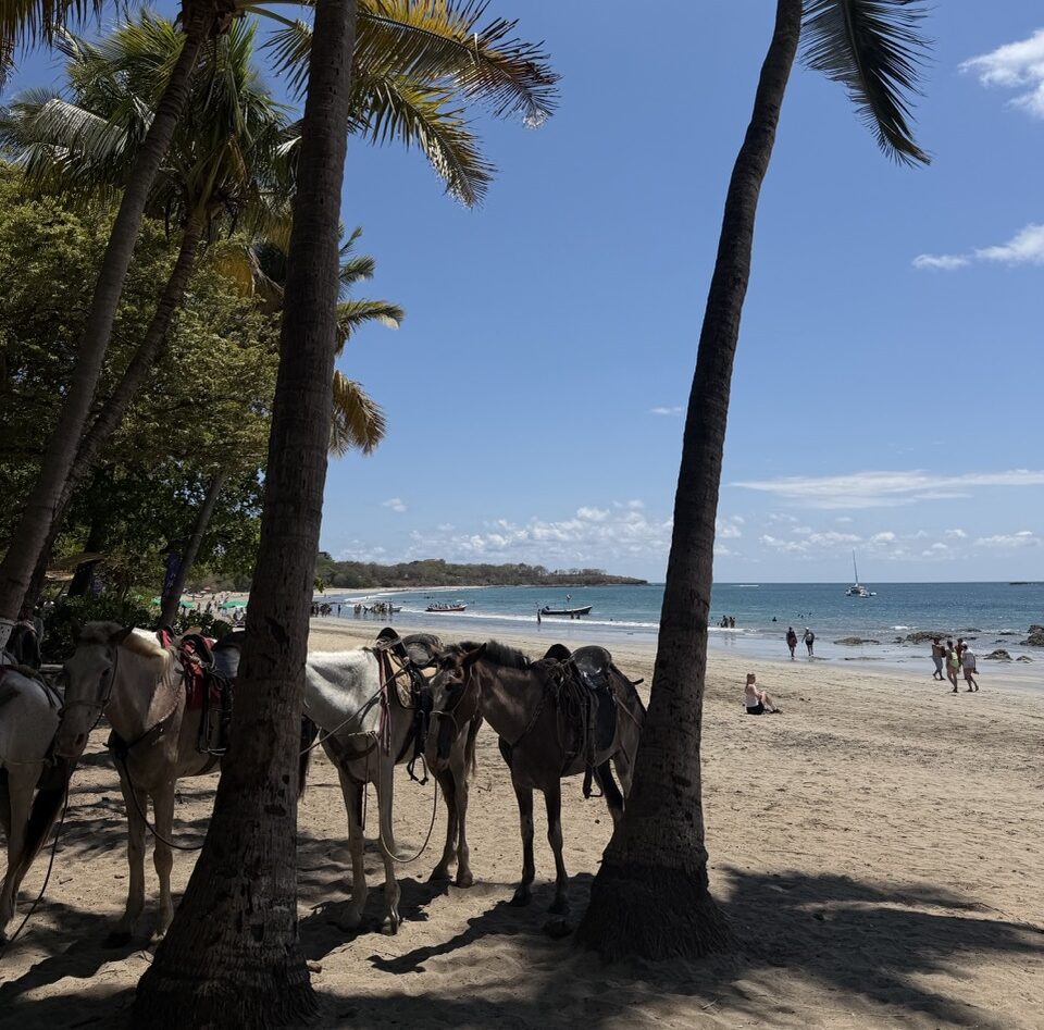 Horseback riding in Tamarindo