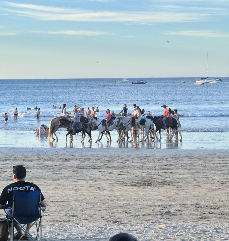 tamarindo costa rica beach